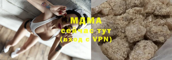 дживик Пересвет