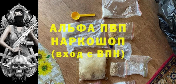 стаф Пестово