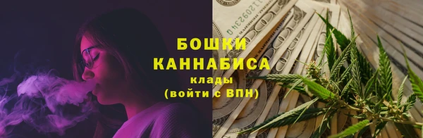 дживик Пересвет