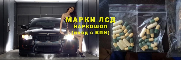 дживик Пересвет