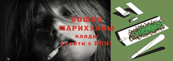 дживик Пересвет