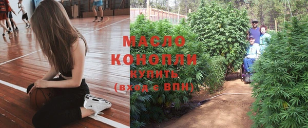 стаф Пестово