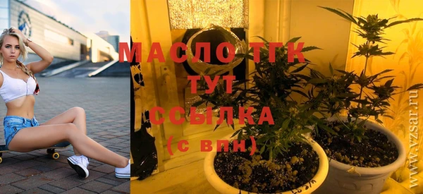 дживик Пересвет