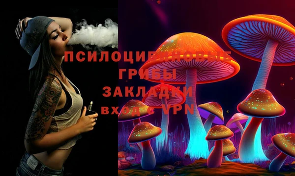 дживик Пересвет