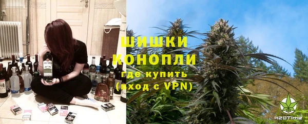 дживик Пересвет
