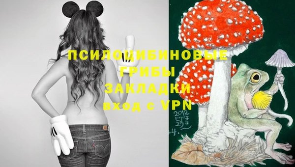стаф Пестово